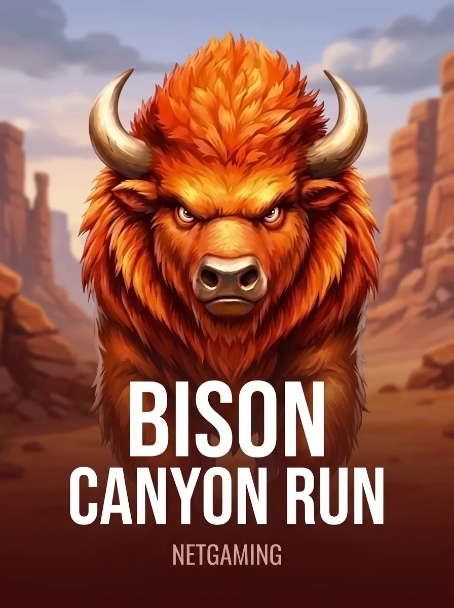 Bison - Canyon Run