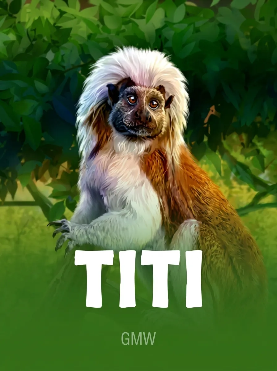 Titi